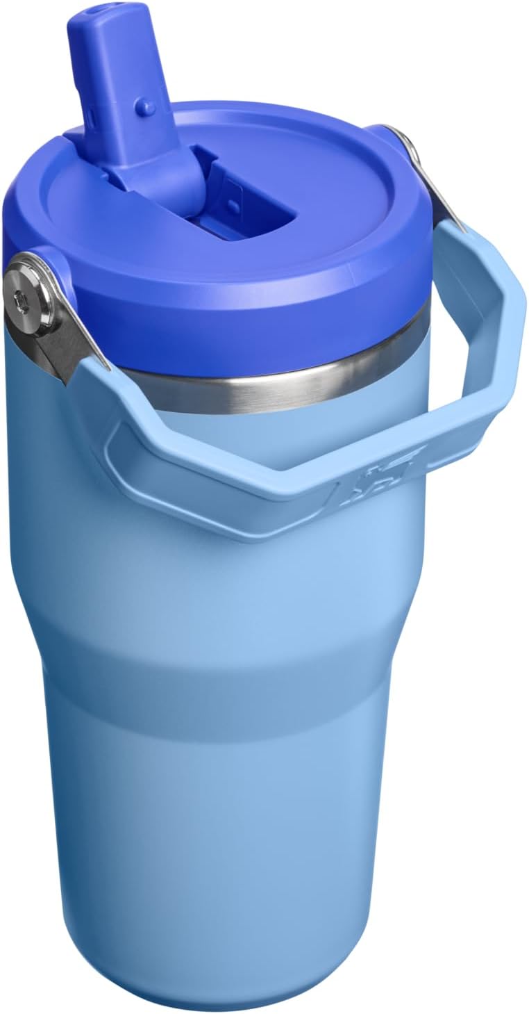 Stanley IceFlow 2.0 - Vaso con pajita, 20 onzas, cielo azul | Asa d...