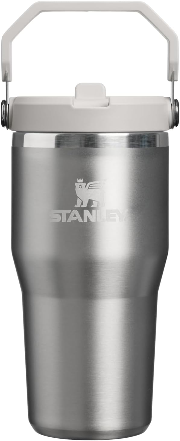 STANLEY IceFlow 2.0 - Vaso con pajita, 20 onzas, ceniza de acero in...