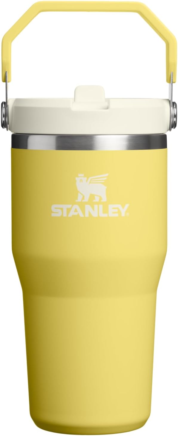 STANLEY IceFlow 2.0 - Vaso con pajita, 20 onzas, narciso | Asa de f...