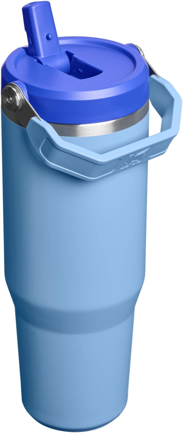 STANLEY IceFlow 2.0 - Vaso con pajita, 30 onzas, cielo azul | Asa d...