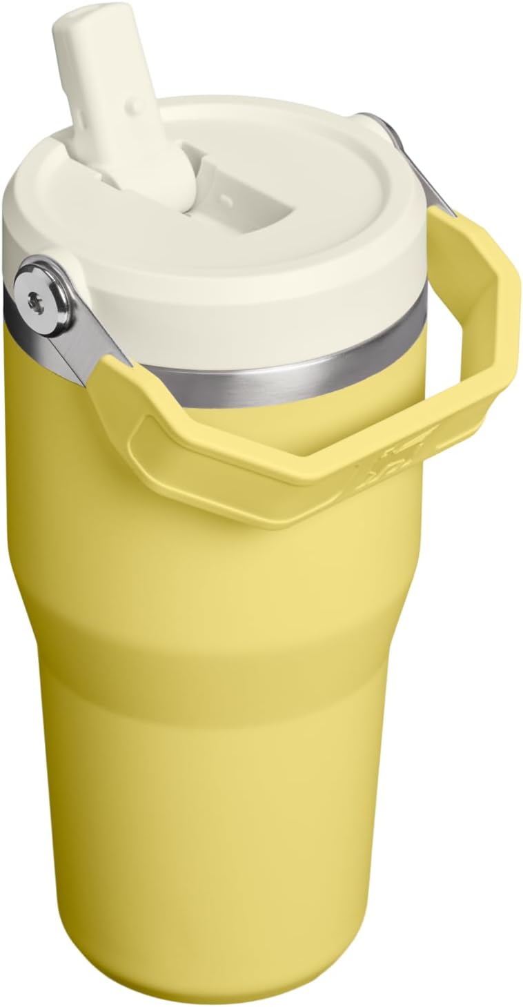 STANLEY IceFlow 2.0 - Vaso con pajita, 20 onzas, narciso | Asa de f...