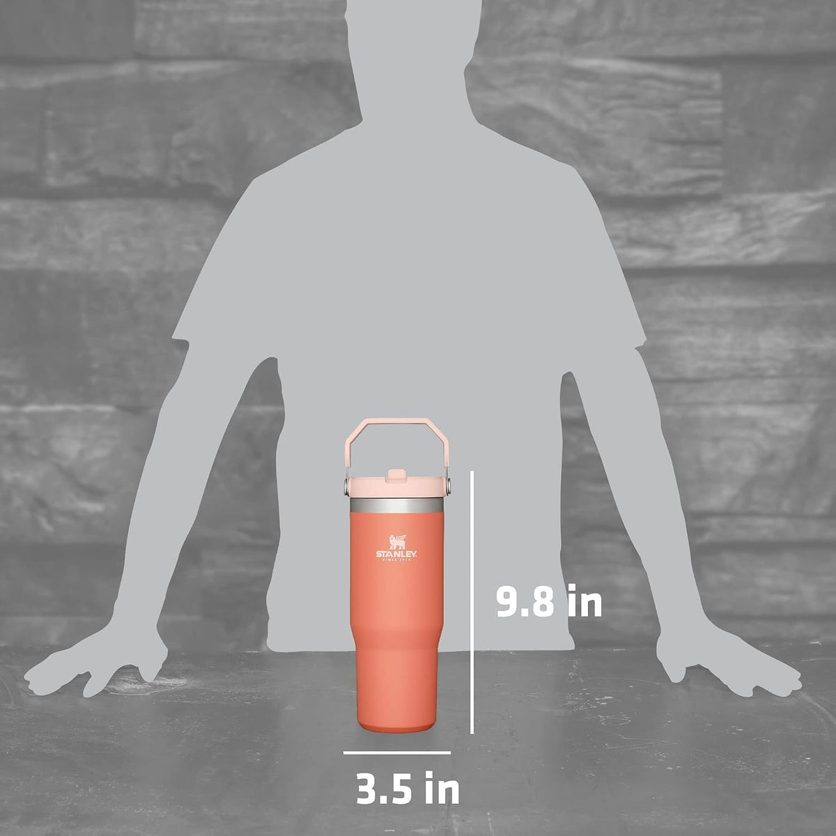 STANLEY IceFlow Vaso de acero inoxidable - Botella de agua aislada...