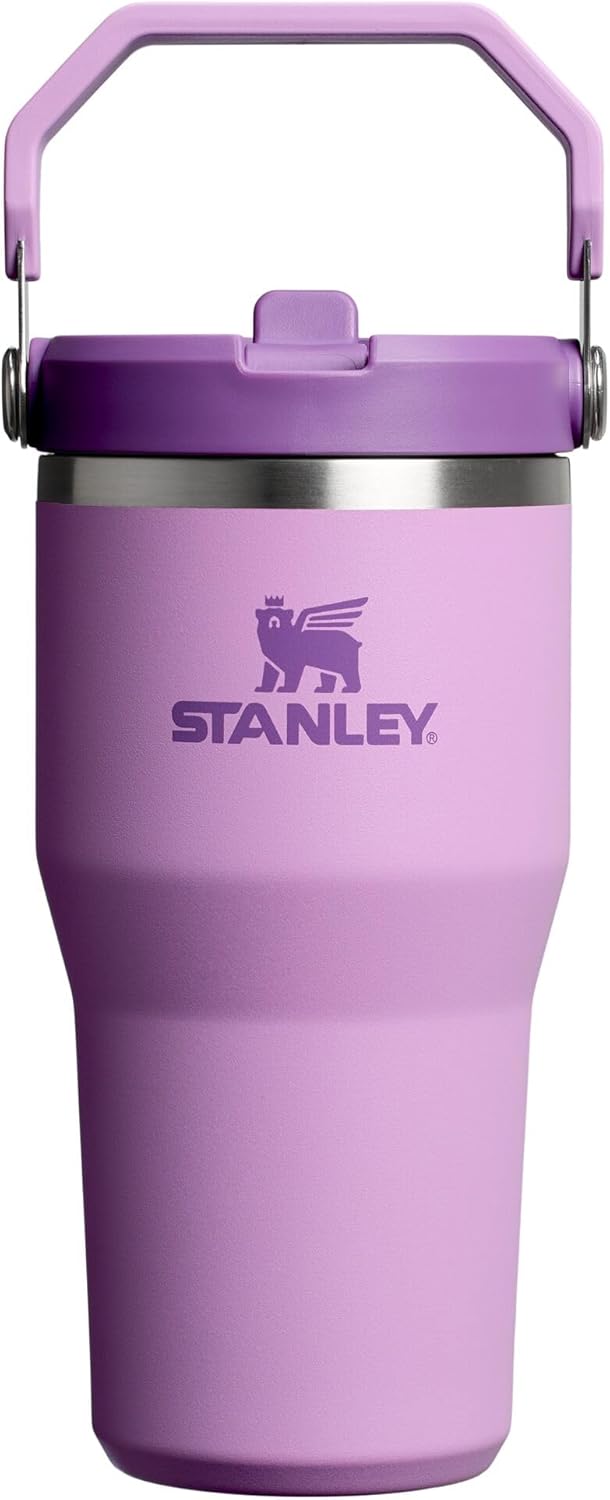 STANLEY IceFlow 2.0 - Vaso con pajita, 20 onzas, lila | Asa de fáci...