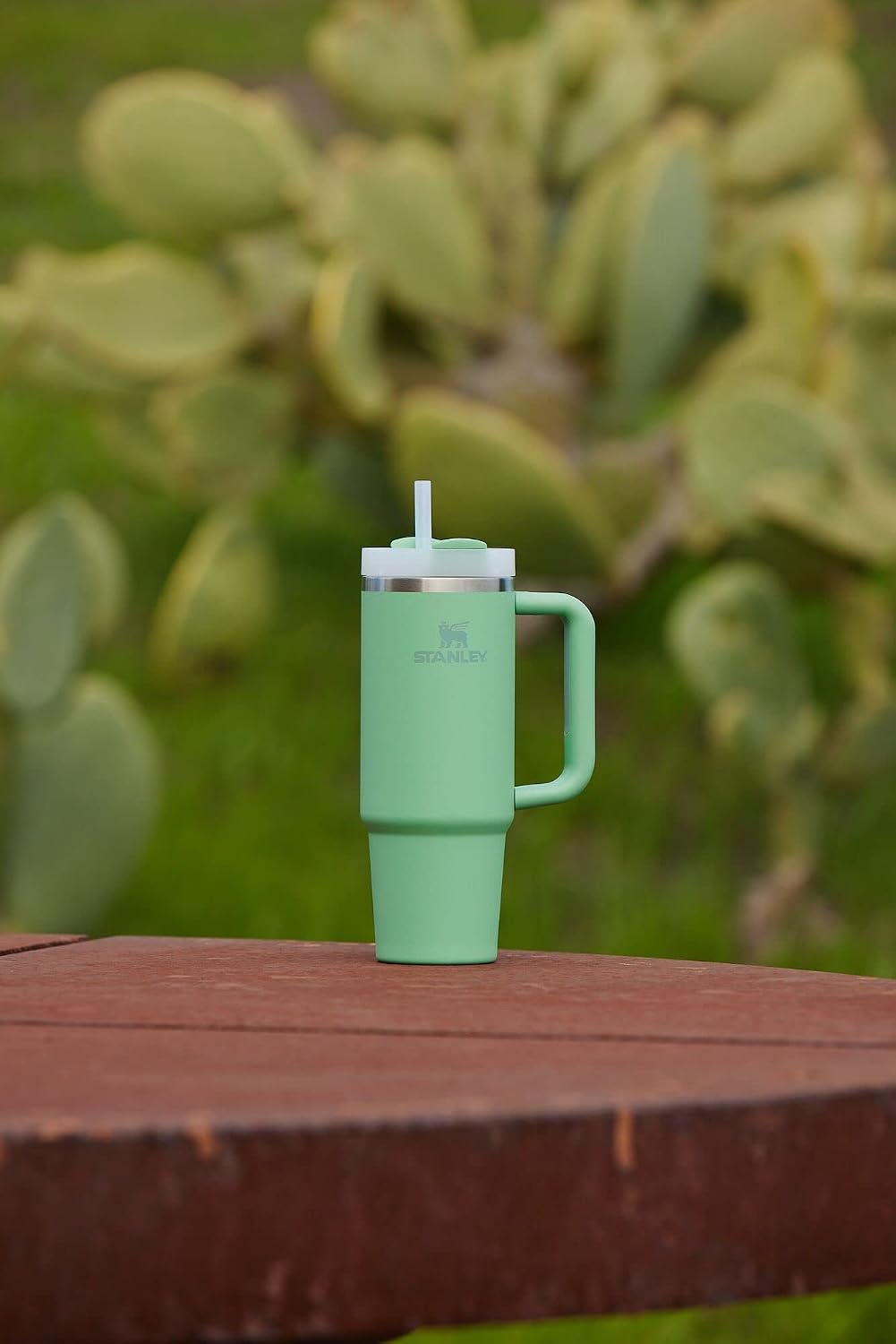 STANLEY Quencher H2.0 Flow State - Vaso de 30 onzas, color jade | M...