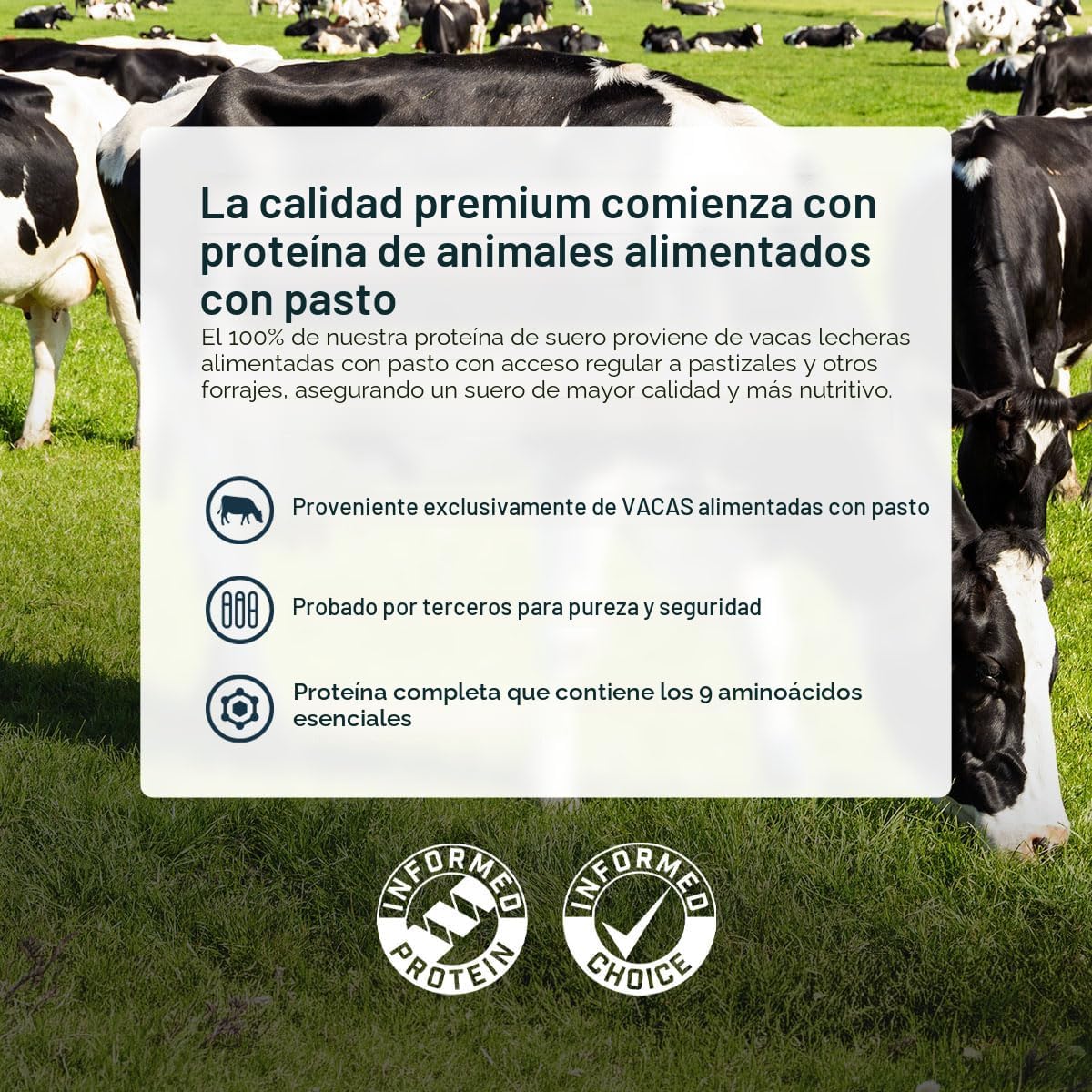Proteína de suero alimentada con pasto de Transparent Labs, 30 porc...