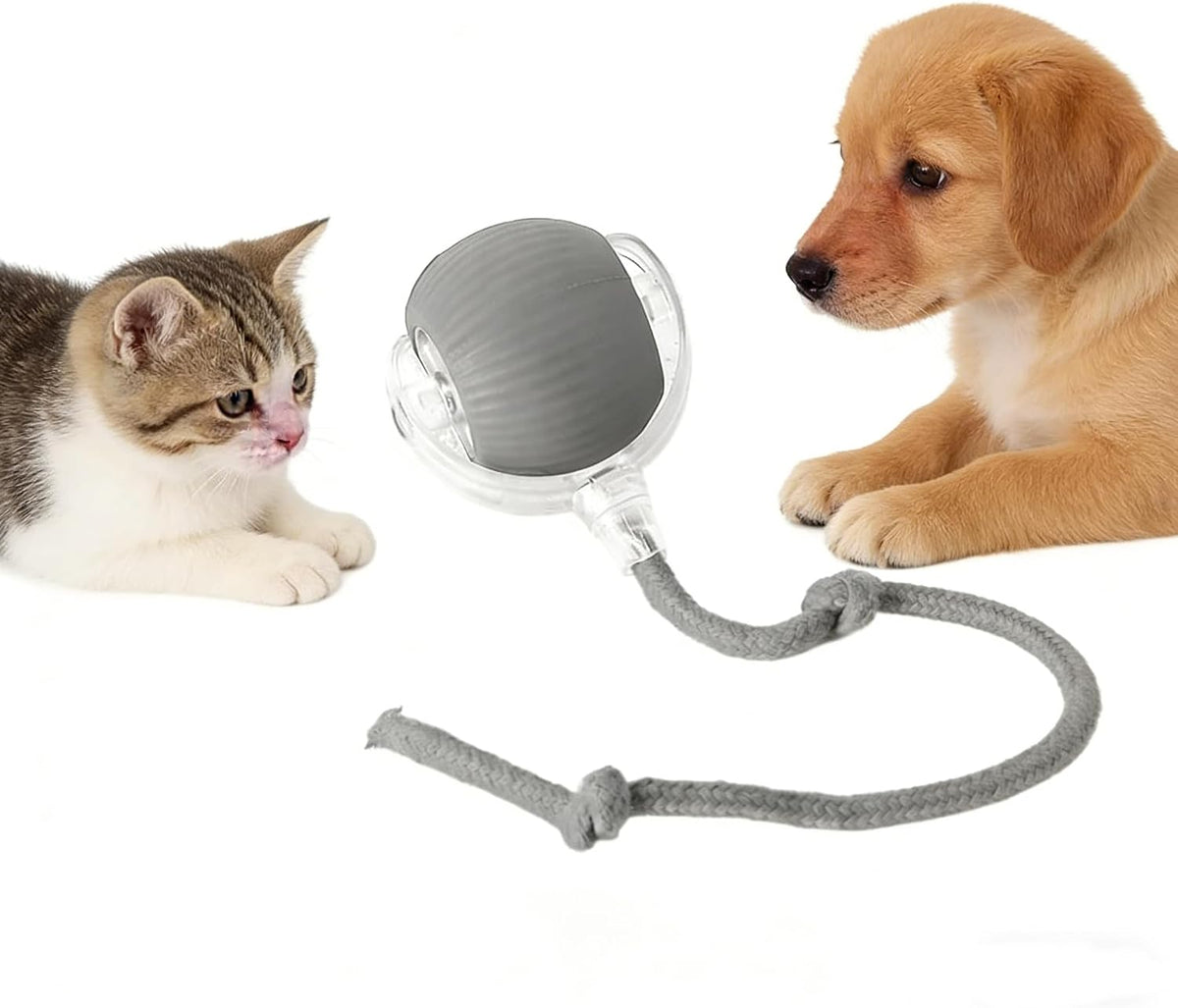 RightBliss Juguete automático de bola rodante para gatos y perros....