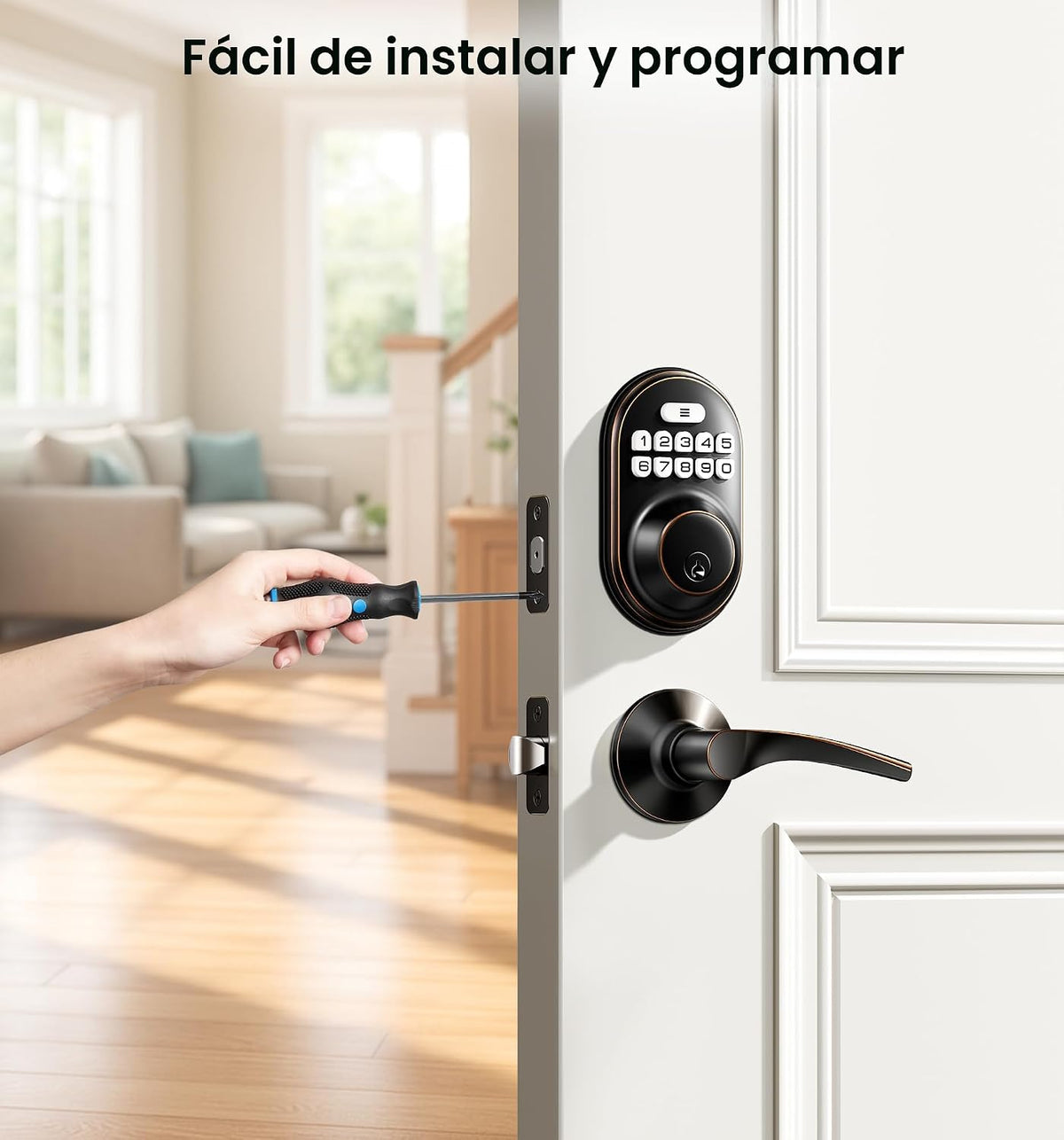 Veise RZ-C Cerradura de puerta de entrada sin llave con 2 manijas d...