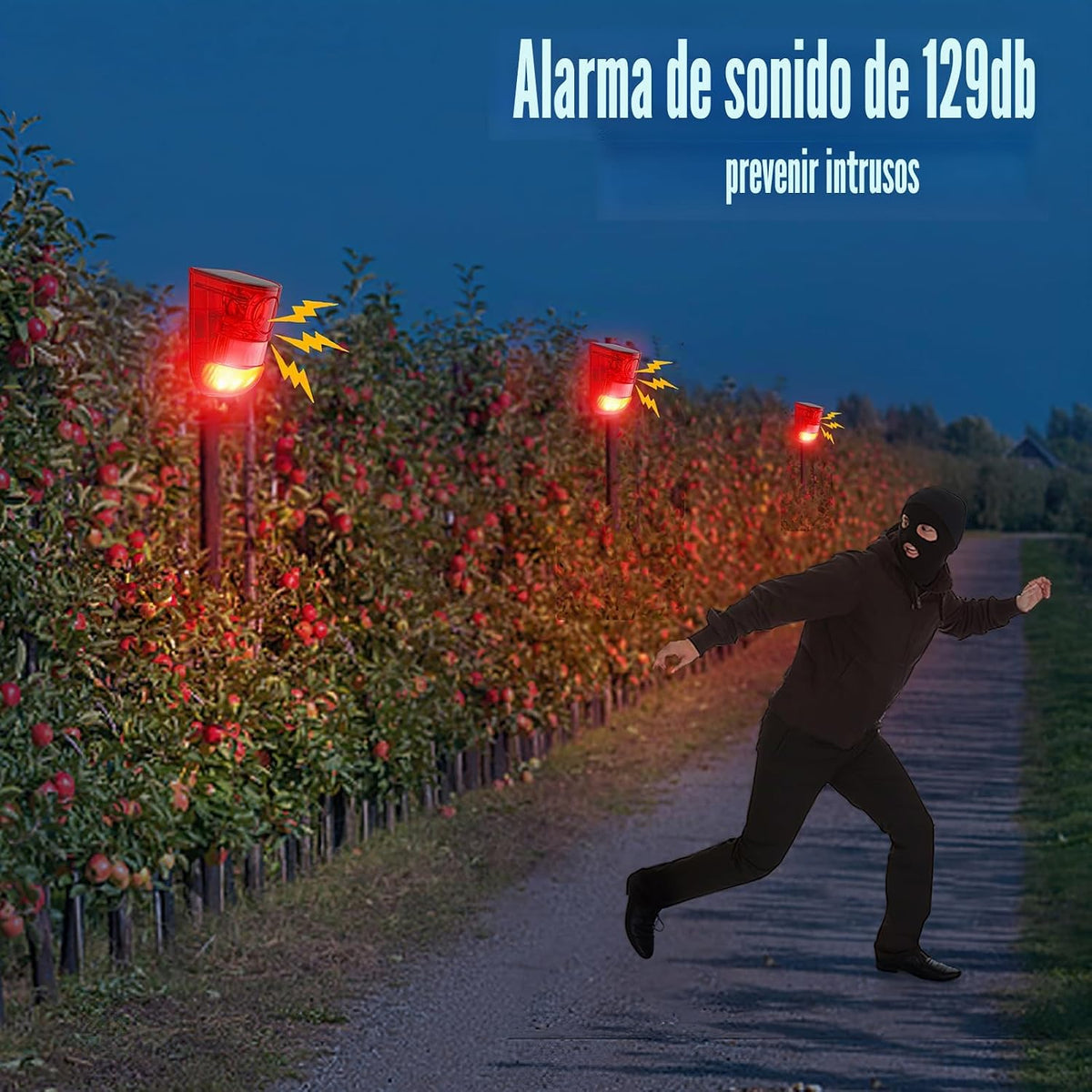 Qualirey Paquete de 6 alarmas solares con sensor de movimiento de 1...