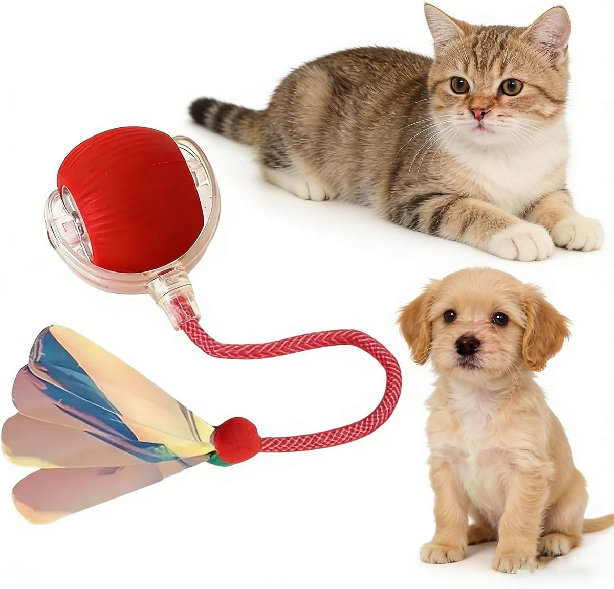 RightBliss Juguete automático de bola rodante para gatos y perros....