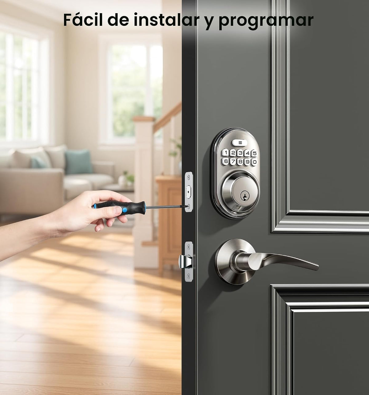 Veise RZ-C Cerradura de puerta de entrada sin llave con 2 manijas d...