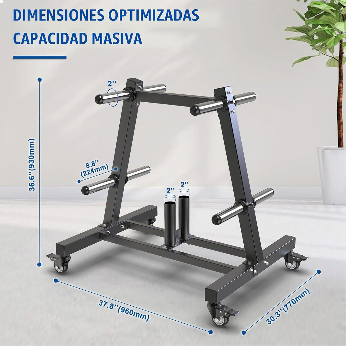 Kipika Soporte para árbol de placas de pesas, soporte para pesas de...