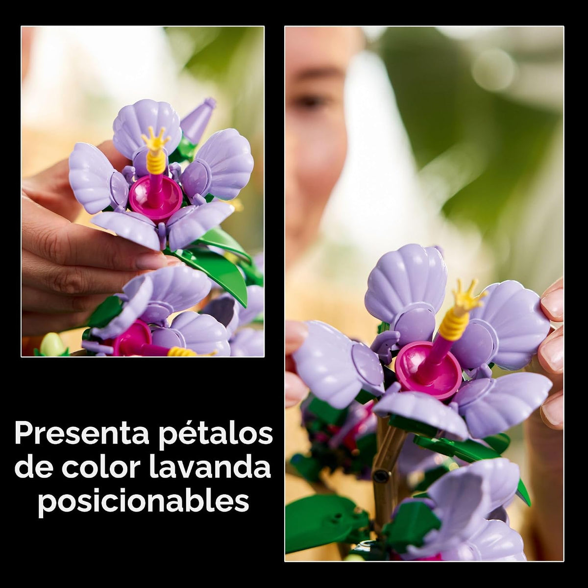 LEGO Botanicals - Juego de construcción de flores de hibisco, bloqu...