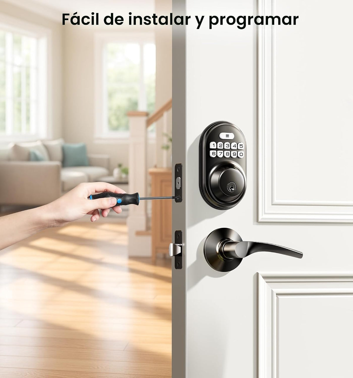 Veise RZ-C Cerradura de puerta de entrada sin llave con 2 manijas d...