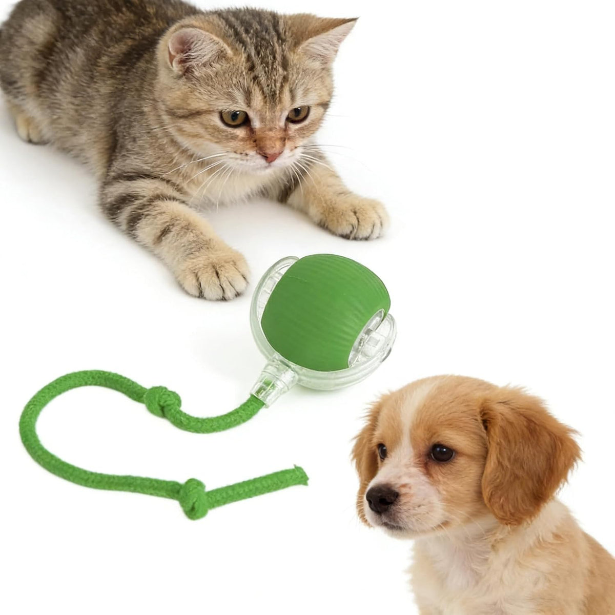 RightBliss Juguete automático de bola rodante para gatos y perros....