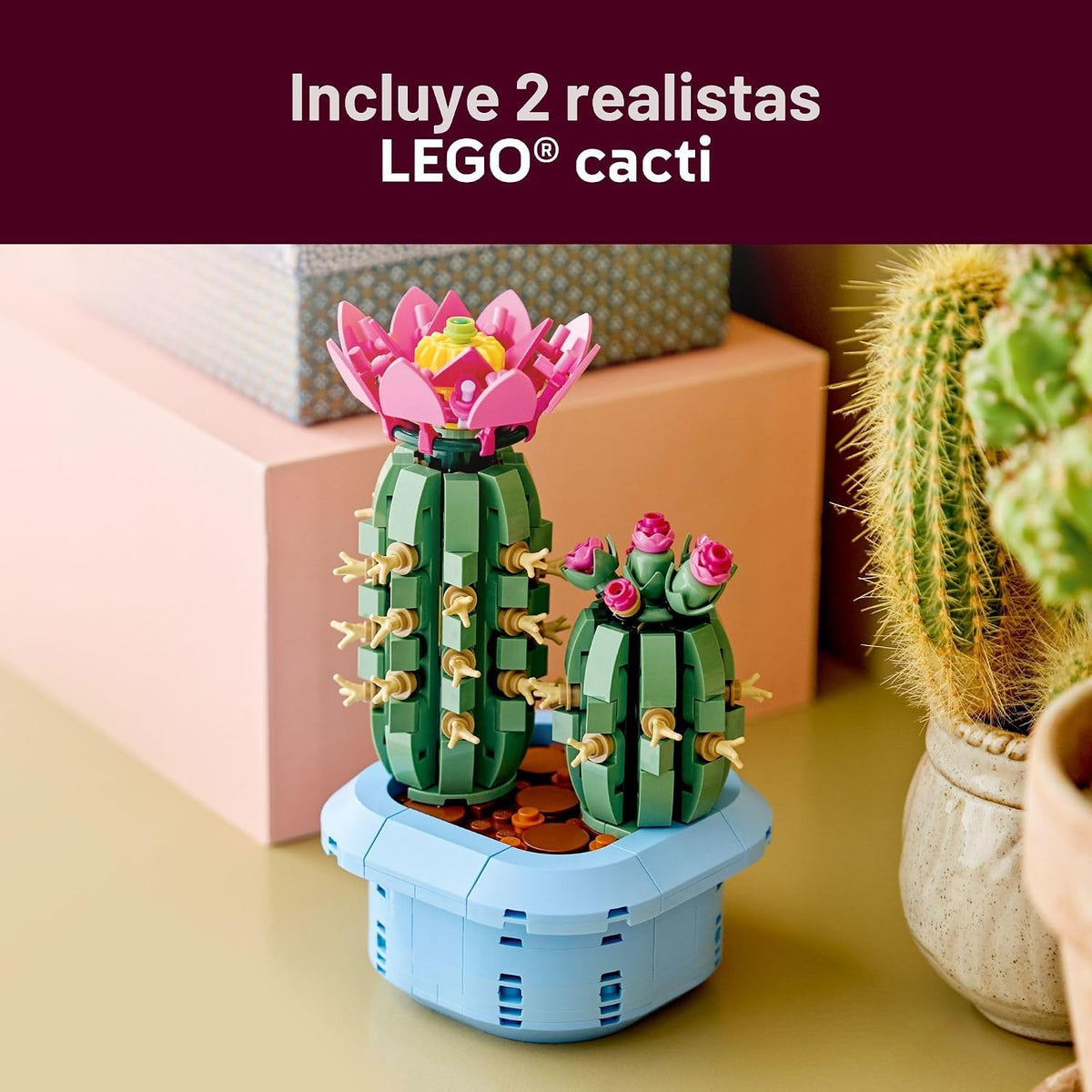 LEGO Botanicals Cactus Floración 11509 | Juguetes de construcción p...