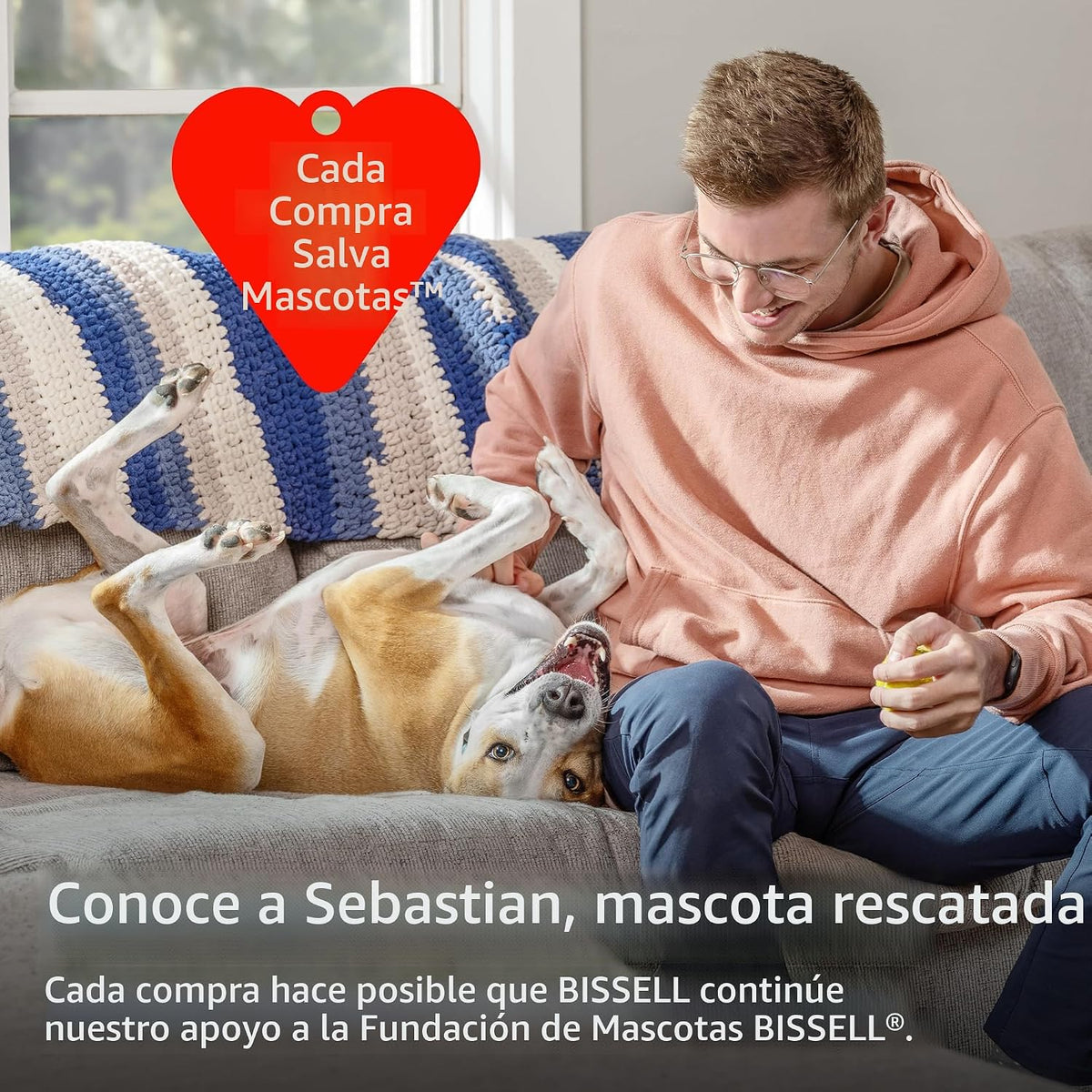 Bissell CleanView 3836 - Aspiradora giratoria, rollo de cepillo de...