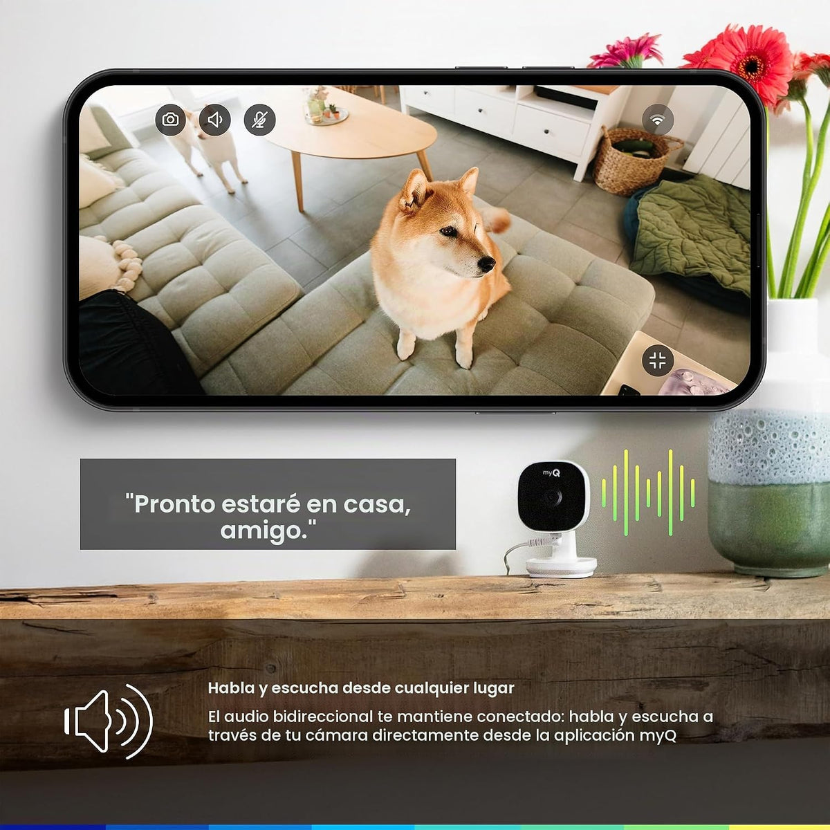 myQ - Cámara de seguridad enchufable para interiores Gen 2 \u2013 C...