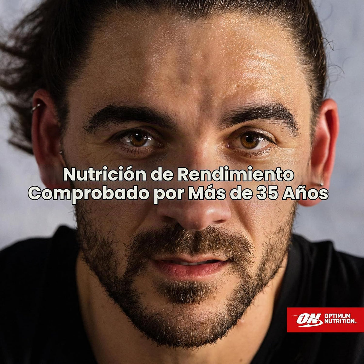 Optimum Nutrition Estándar dorado 100% Proteína de Suero de Leche e...
