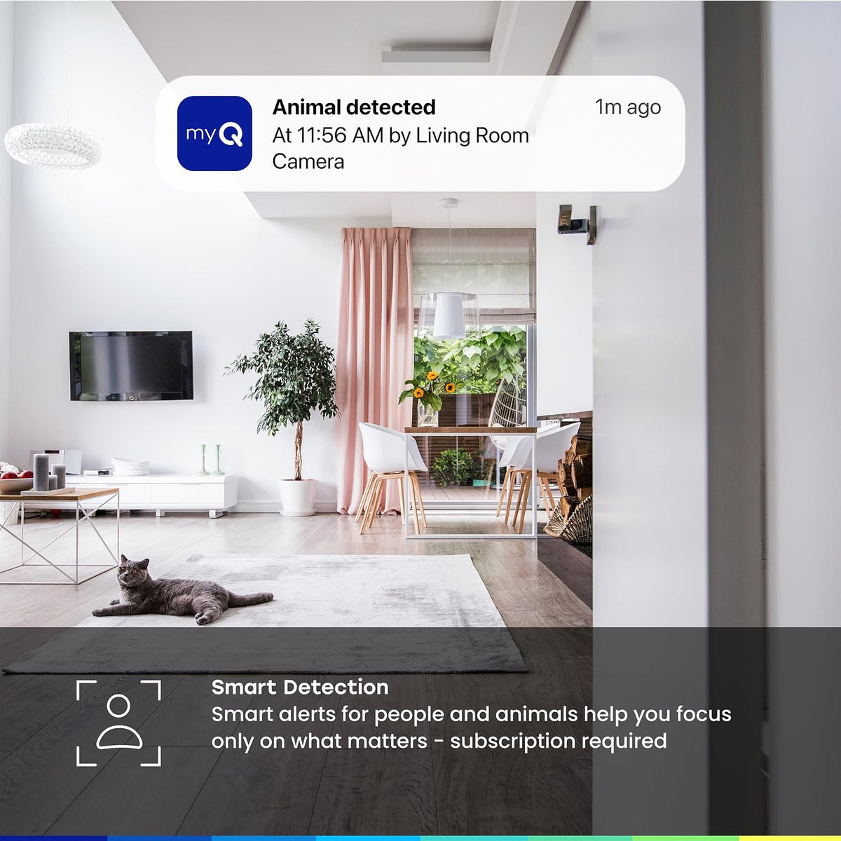 myQ - Cámara de seguridad enchufable para interiores Gen 2 \u2013 C...