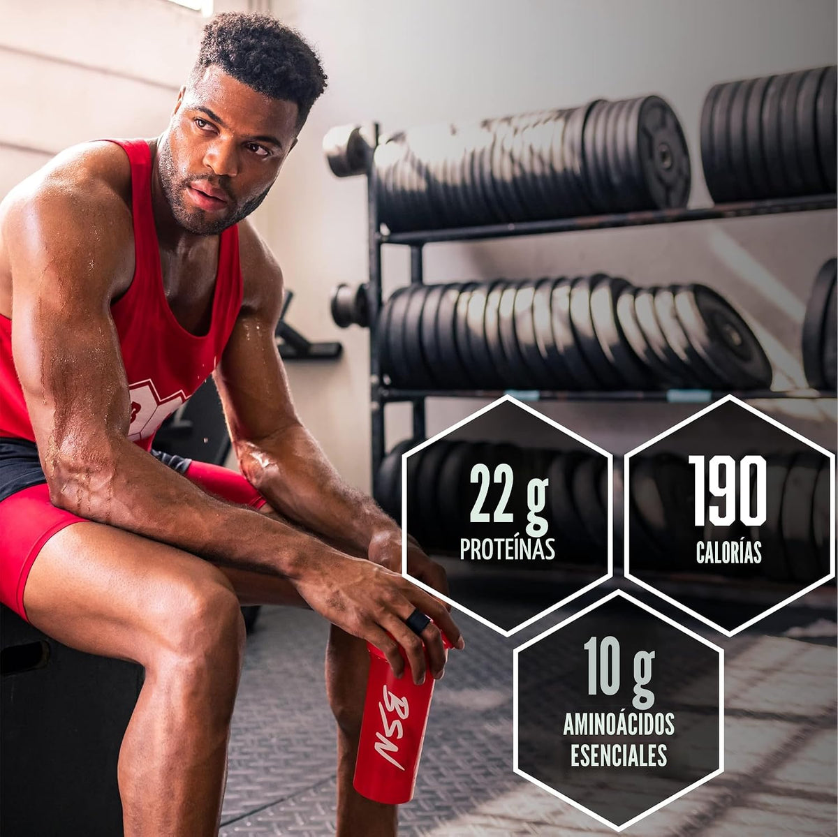 BSN SYNTHA-6 Proteína en polvo premium, batido de chocolate, 28 por...