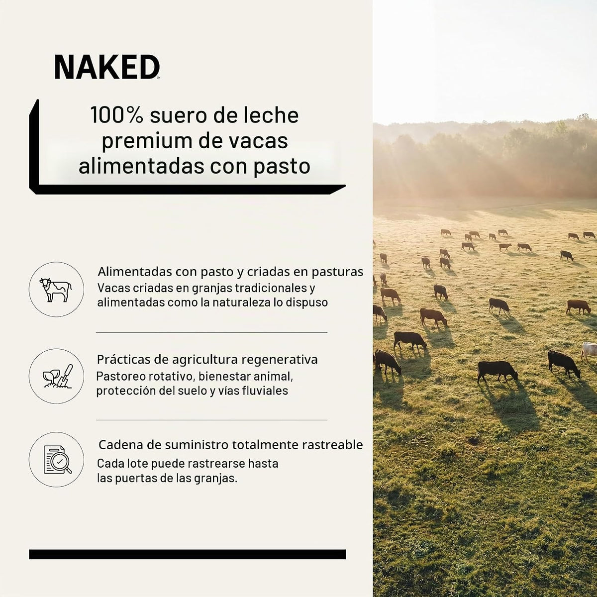 NAKED Suero de leche de 1 libra \u2013 Solo 1 ingrediente, polvo de...