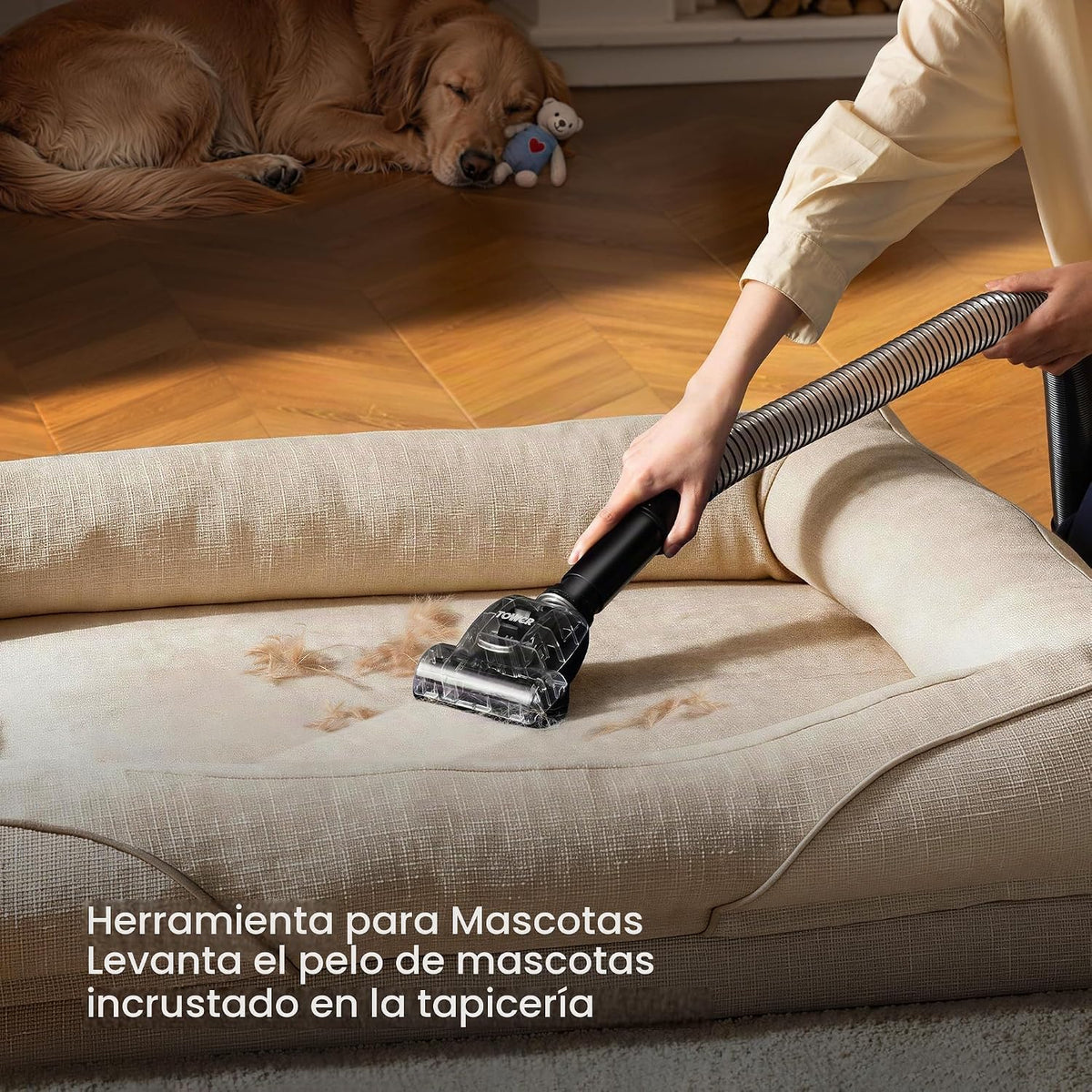 Eureka Aspiradoras verticales para el hogar, PowerSpeed Anti-Tangle...