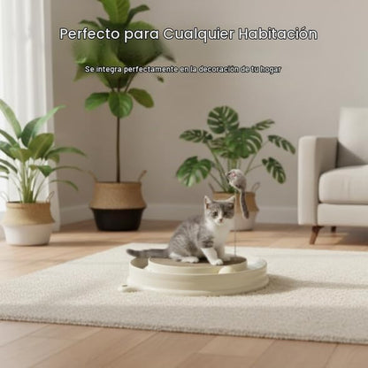 AUOON - Juguete rascador para gatos con pista de bolas para gatos d...