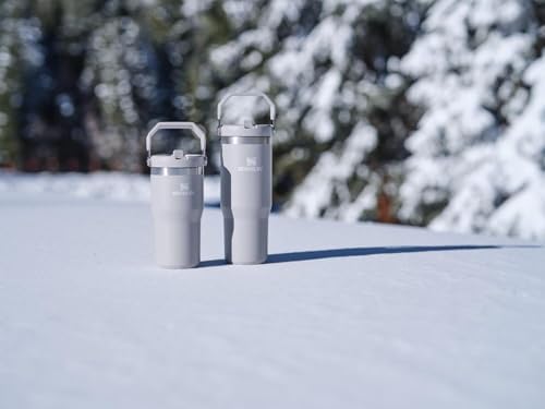 Stanley IceFlow - Vaso con pajilla abatible con asa, de 20 onzas, t...