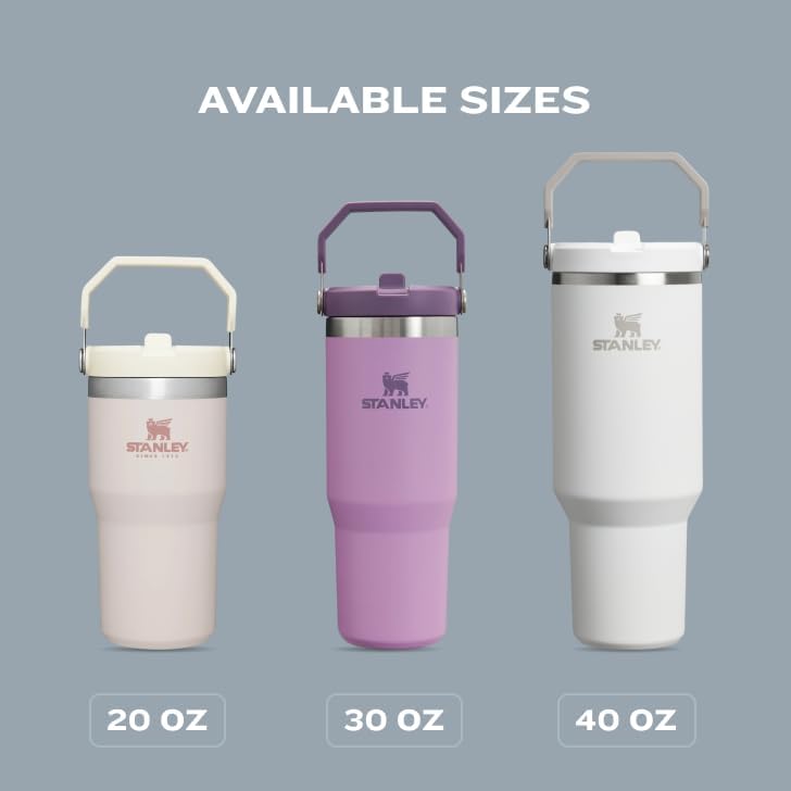Stanley IceFlow - Vaso con pajilla abatible con asa, de 20 onzas, t...