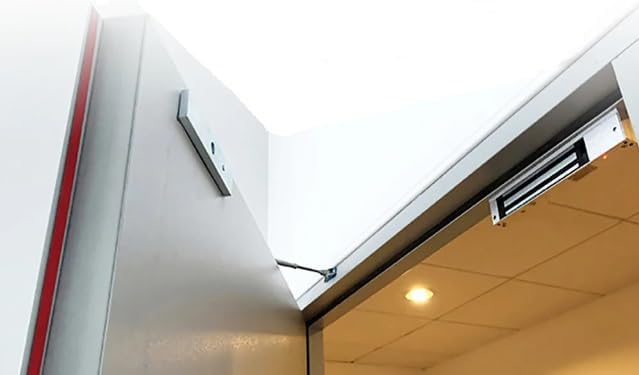 Kit de sistema de control de acceso para puerta de acero inoxidable...