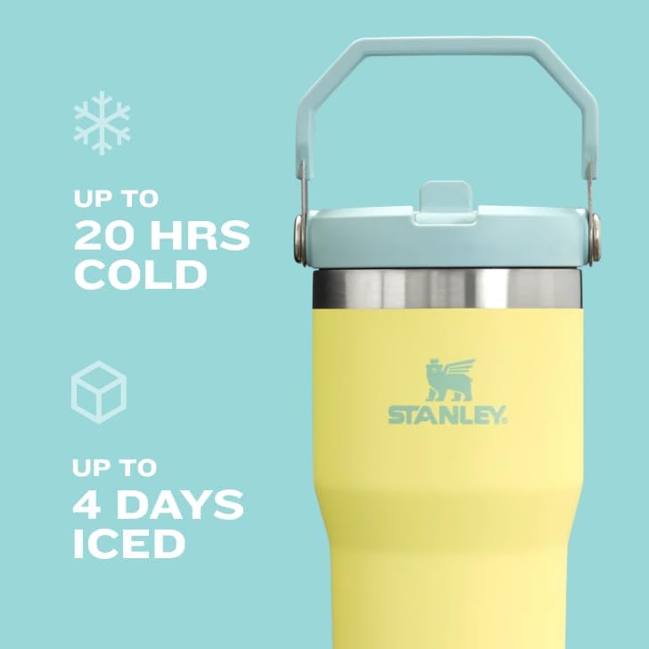 Stanley IceFlow - Vaso con popote con asa, de 20 onzas, tapa girato...