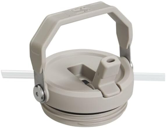 Stanley IceFlow - Vaso con pajilla abatible con asa, de 20 onzas, t...