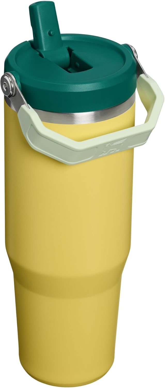 STANLEY IceFlow 2.0 - Vaso con pajita, 30 onzas, color esmeralda na...