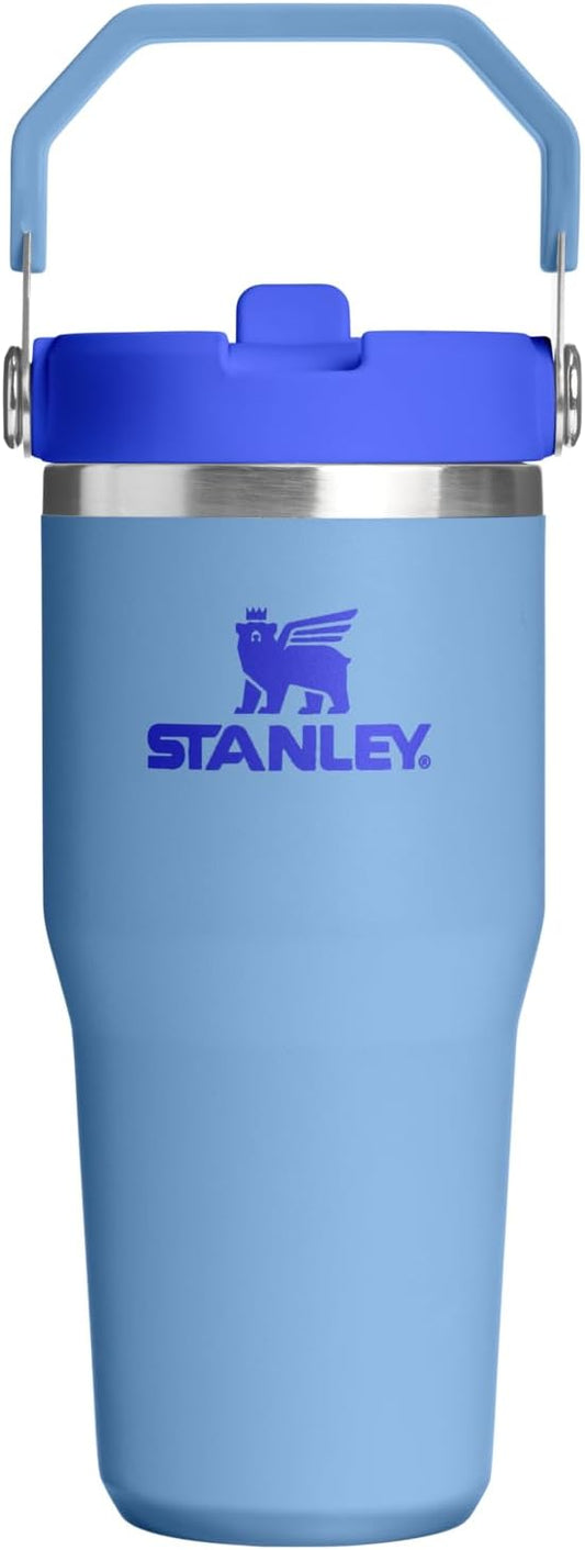Stanley IceFlow 2.0 - Vaso con pajita, 14 onzas, cielo azul | Asa d...