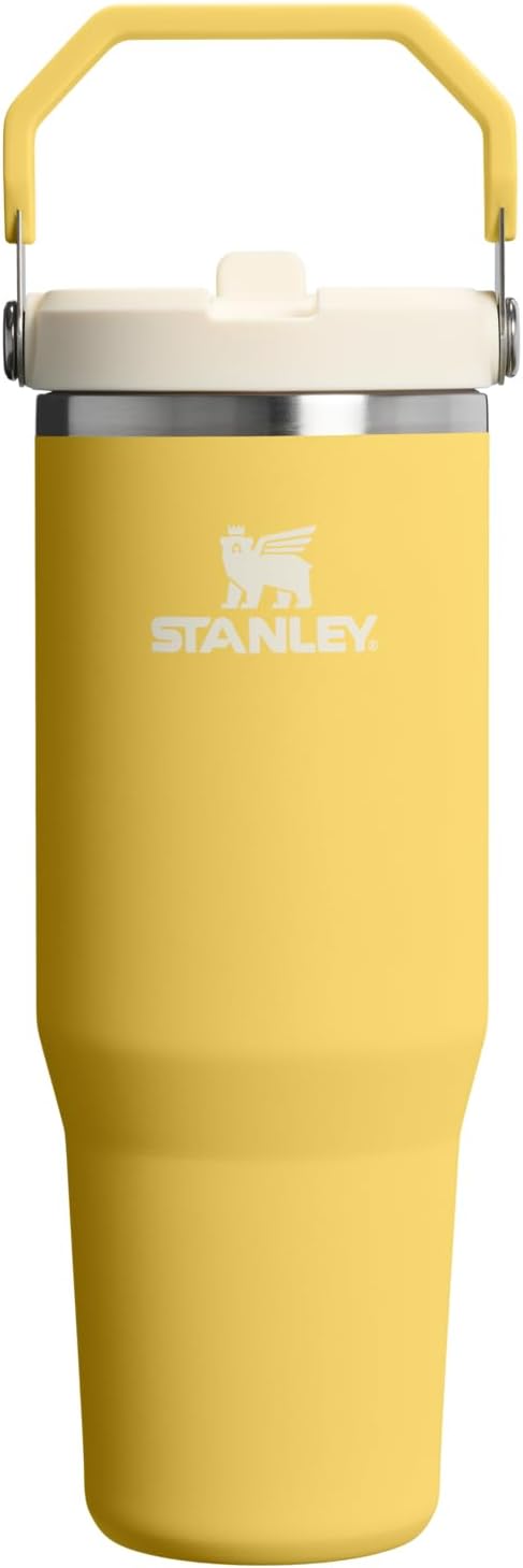 STANLEY IceFlow 2.0 - Vaso con pajita, 30 onzas, narciso | Asa de f...