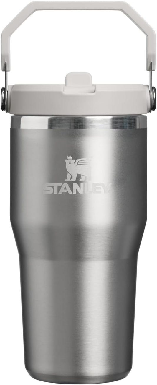 STANLEY IceFlow 2.0 - Vaso con pajita, 20 onzas, ceniza de acero in...
