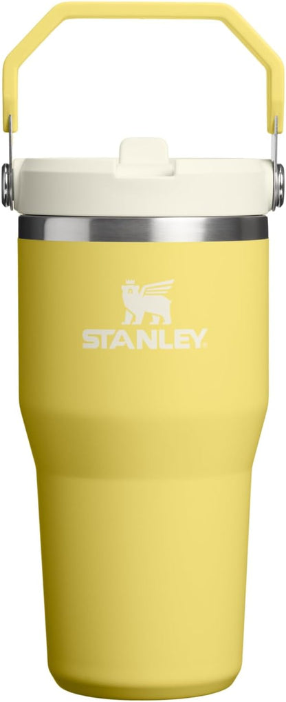 STANLEY IceFlow 2.0 - Vaso con pajita, 20 onzas, narciso | Asa de f...