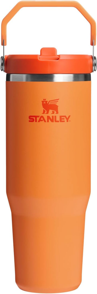 STANLEY IceFlow 2.0 - Vaso con pajita, 30 onzas, coral dorado | Asa...