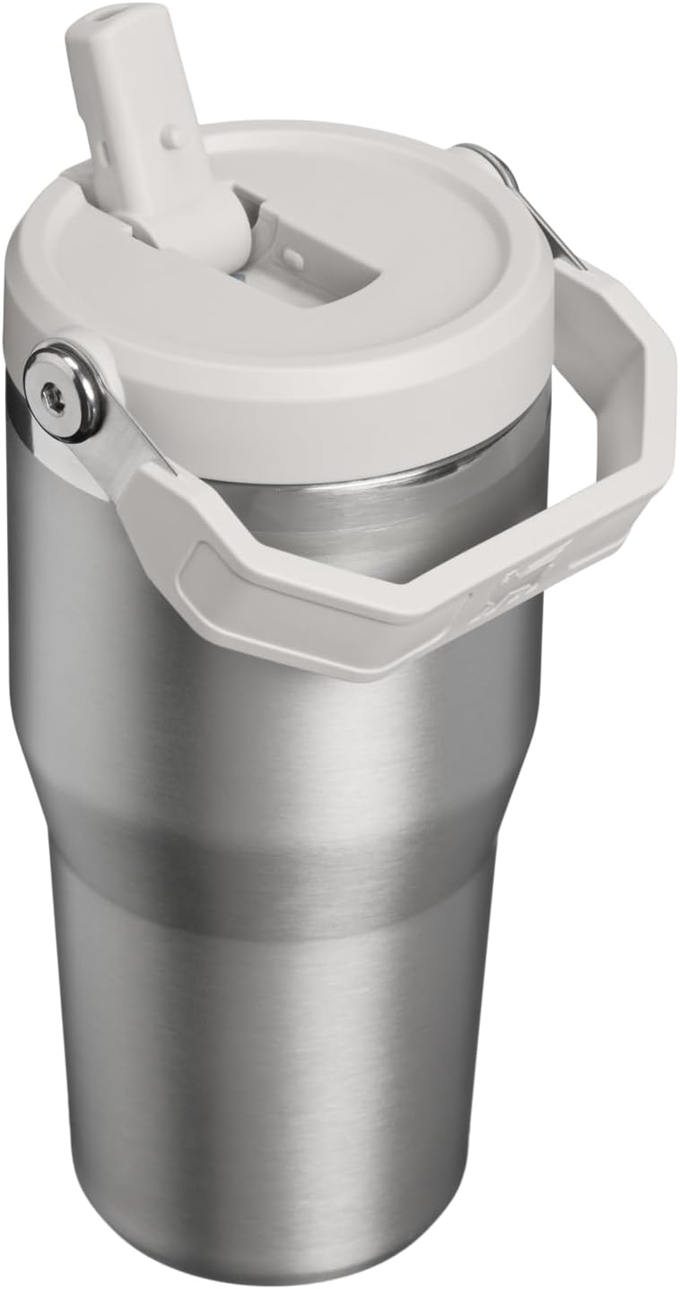 STANLEY IceFlow 2.0 - Vaso con pajita, 20 onzas, ceniza de acero in...