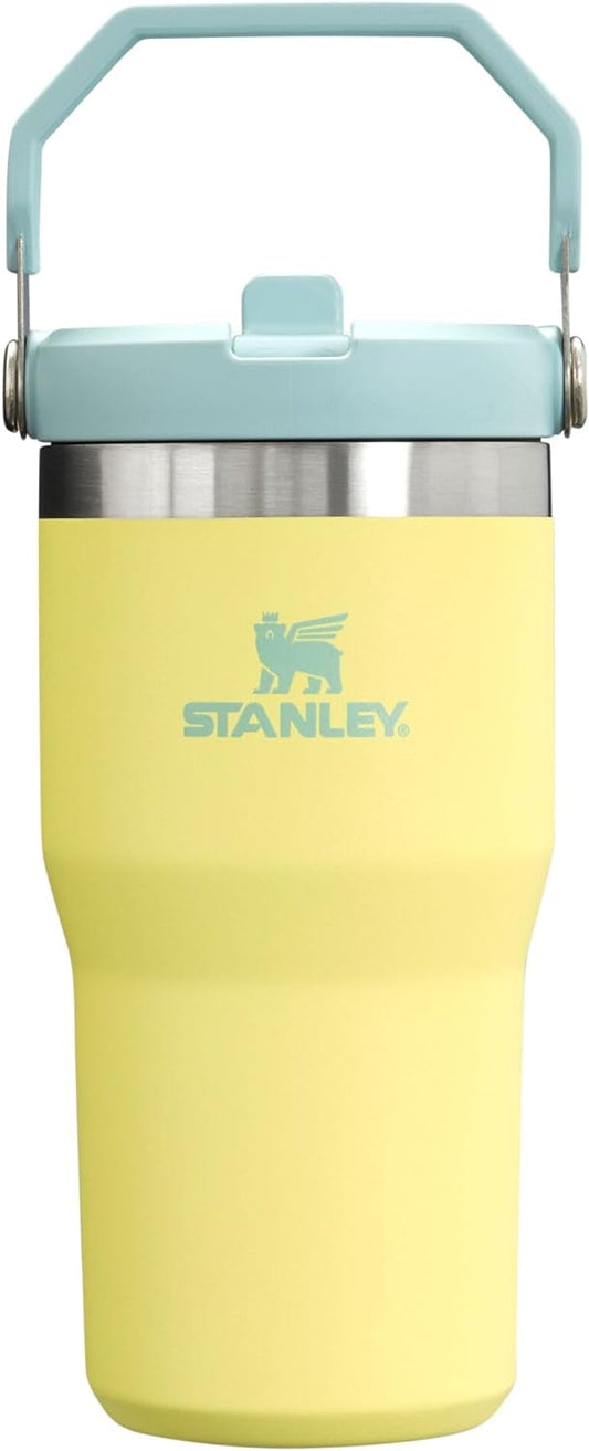Stanley IceFlow - Vaso con pajilla abatible con asa, de 20 onzas, t...