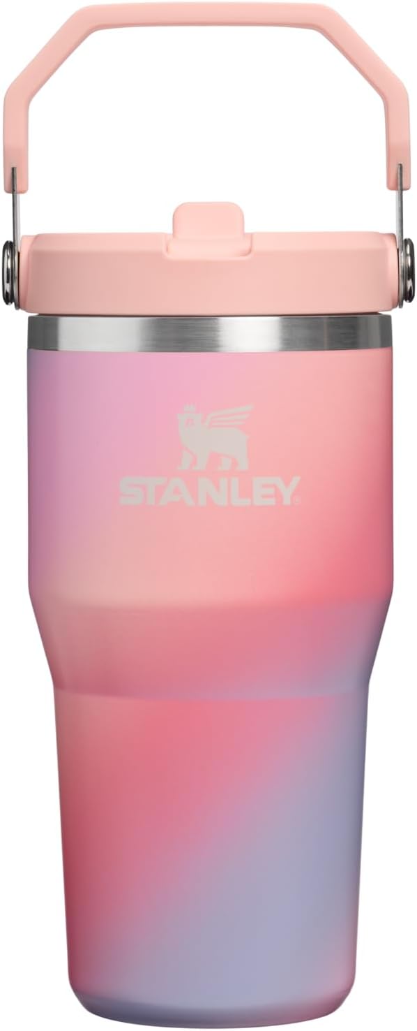 STANLEY IceFlow 2.0 - Vaso con pajilla, 20 onzas, diseño de espiral...