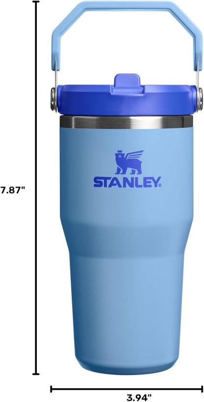 Stanley IceFlow 2.0 - Vaso con pajita, 20 onzas, cielo azul | Asa d...