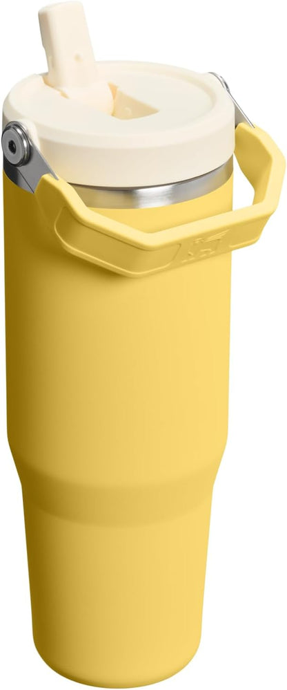 STANLEY IceFlow 2.0 - Vaso con pajita, 30 onzas, narciso | Asa de f...