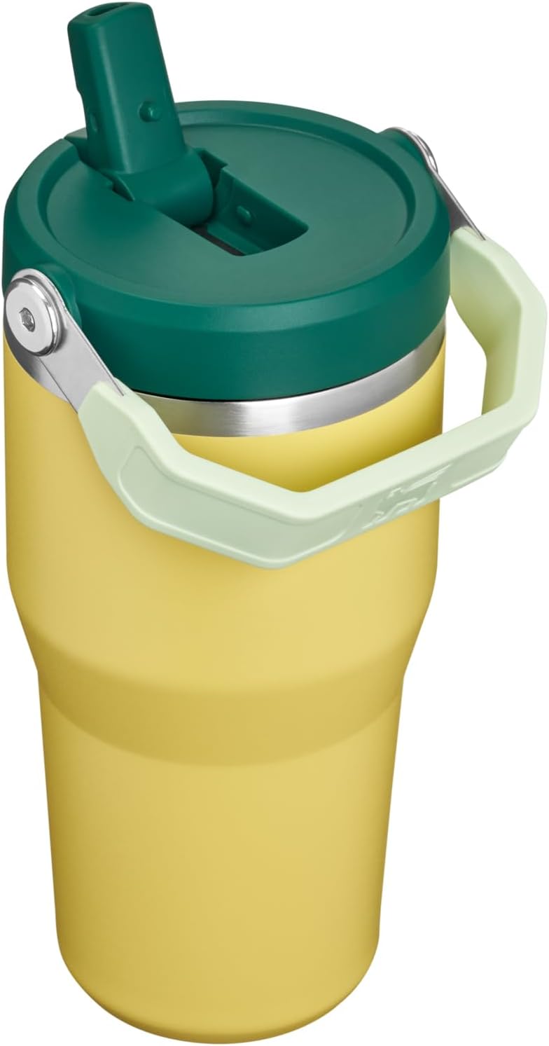 STANLEY IceFlow 2.0 - Vaso con pajita, 20 onzas, color esmeralda na...