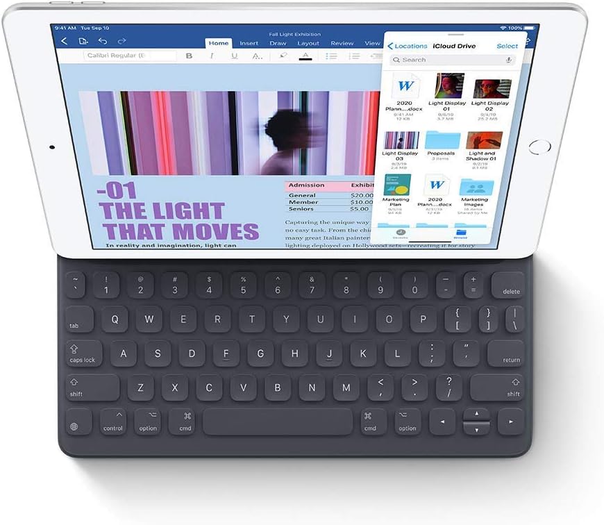 iPad Apple 2019 (10,2 pulgadas, Wi-Fi, 32 GB) - Plata (Renovado Pre...