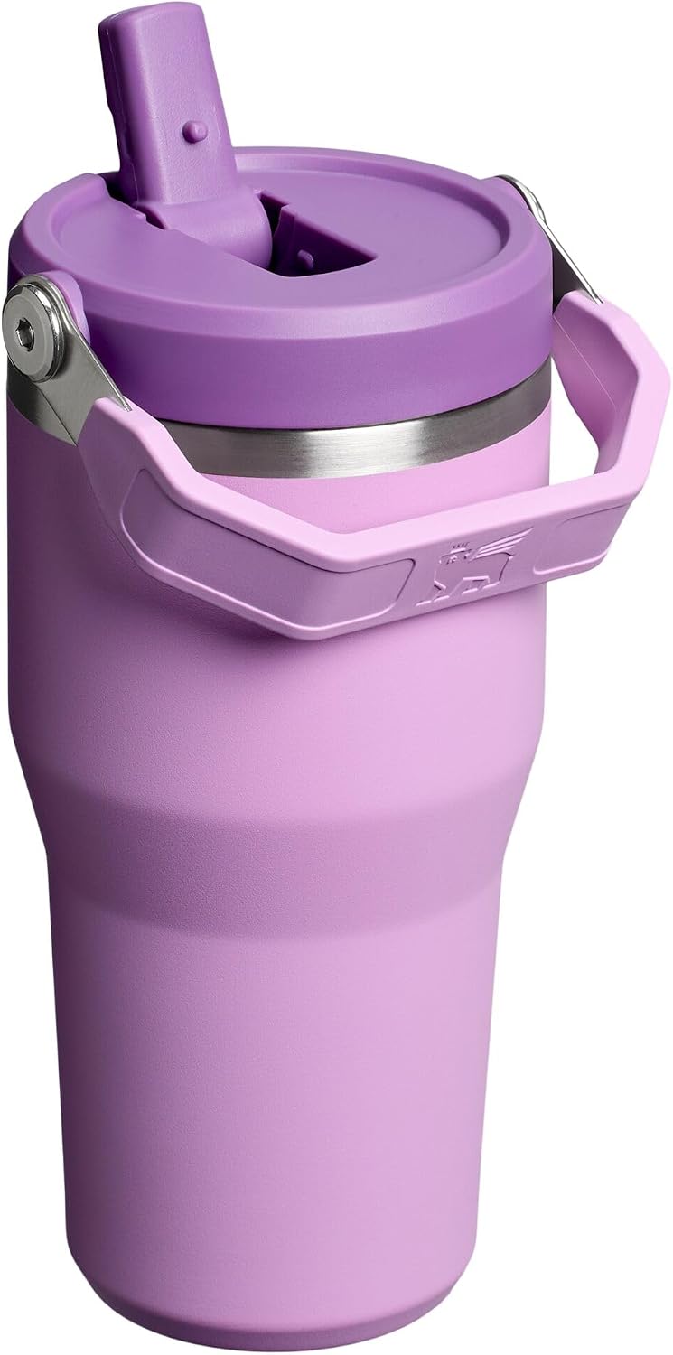 STANLEY IceFlow 2.0 - Vaso con pajita, 20 onzas, lila | Asa de fáci...