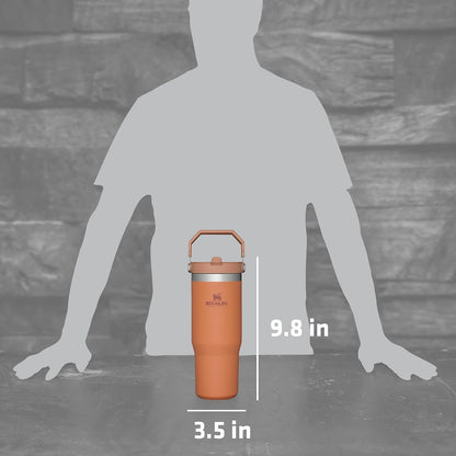 STANLEY IceFlow - Vaso de acero inoxidable, botella de agua aislada...