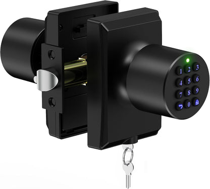 Cerradura de puerta de entrada sin llave con teclado inteligente co...
