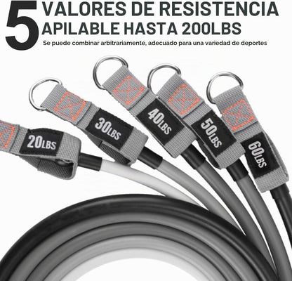 Bandas de Resistencia con Asas, Bandas de Ejercicio con Asas, Ancla...