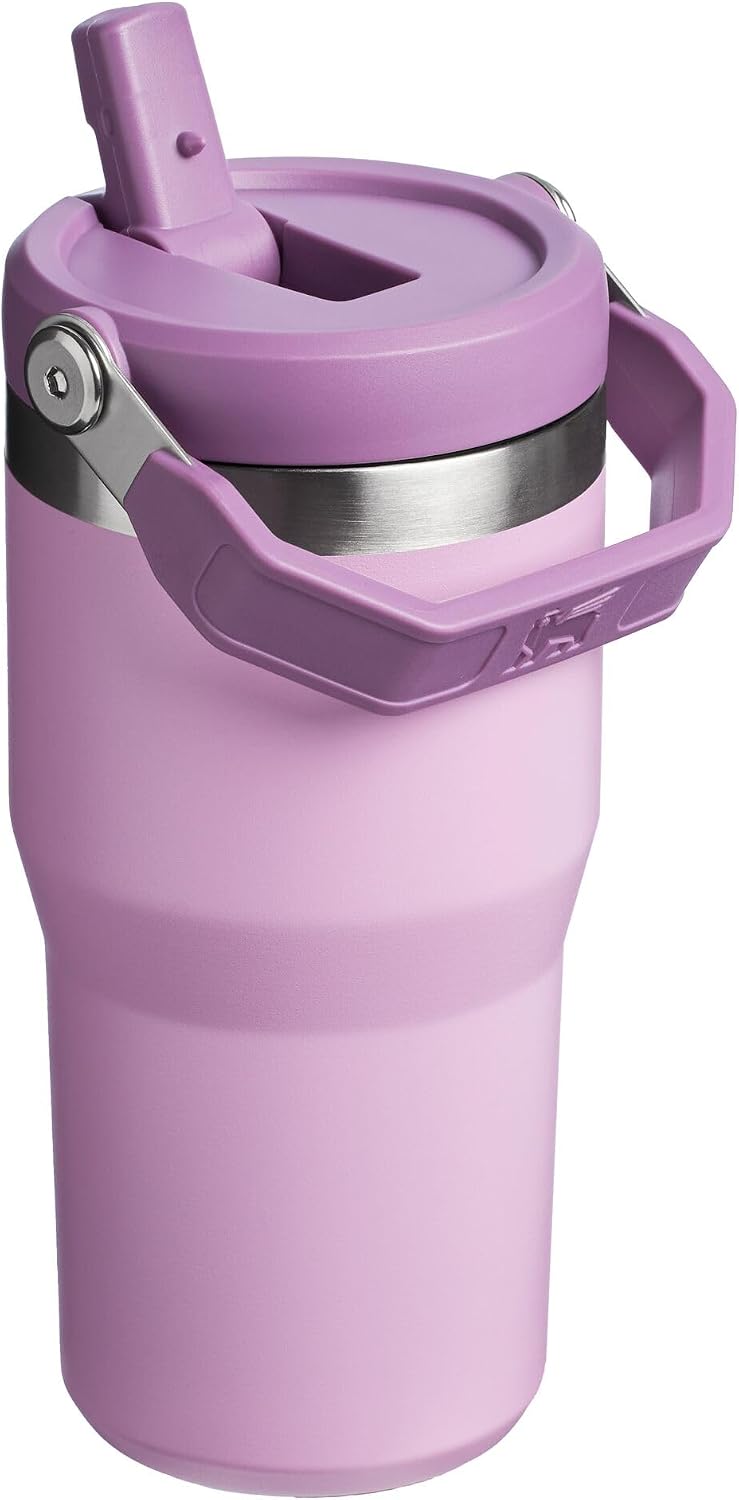 Stanley IceFlow - Vaso con pajilla abatible con asa, de 20 onzas, t...